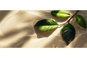 Tropical green leaves on sunlit, a Nature Photo by piter.goskov