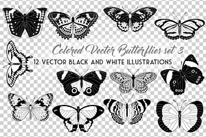 Vector Butterflies Illustrations