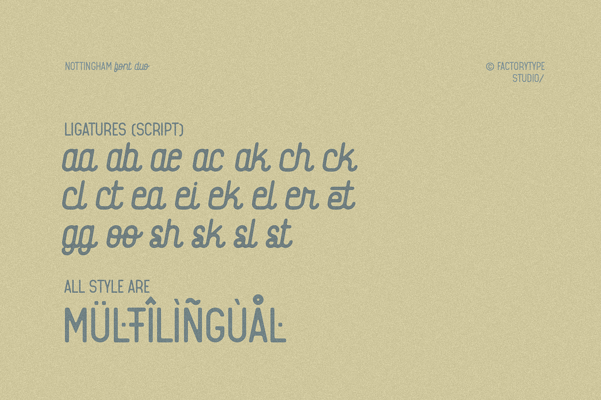 Nottingham, a Sans Serif Font by FactoryType Studio (Photo 9 of 11)
