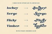 The Minatur Typeface, a Serif Font by alit design (Thumbnail 11 of 17)