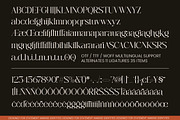 Brewligh District Modern Serif, a Serif Font by AmorfaType (Thumbnail 8 of 8)
