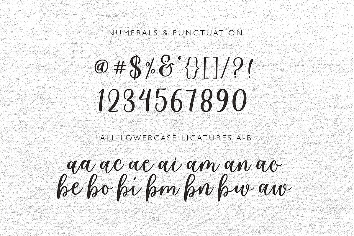 Cabelita Script, a Script Font by Genesis Lab (Photo 11 of 11)