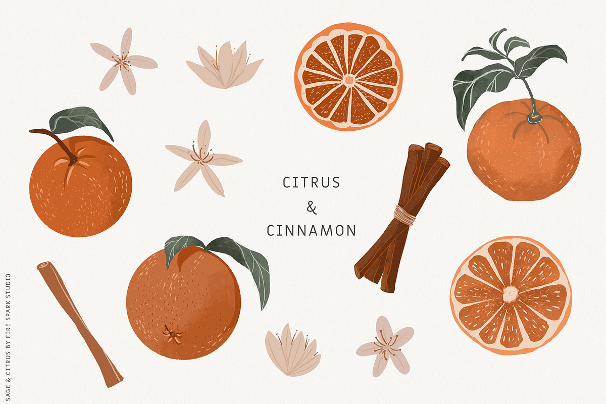 Sage Green Citrus Illustrations, an Object Illustration by Fire Spark Studio (Photo 6 of 9)