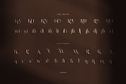 Aldiner Elegant Serif Font, a Serif Font by Perfectype (Thumbnail 8 of 8)