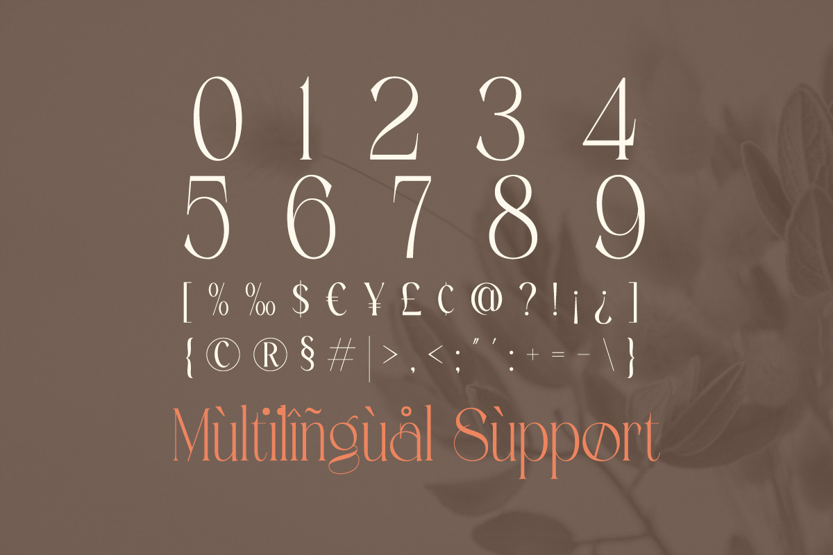 Roselight - Modern Elegant Display, a Serif Font by Qweera Studio (Photo 12 of 12)