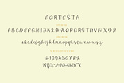 Benallda Fortesta Duo Font, a Serif Font by Humaira_std (Thumbnail 9 of 10)