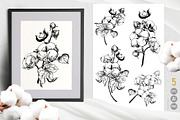 Soft Cotton. Vector engraving style., an Illustration by Tata Pilip (Thumbnail 2 of 10)