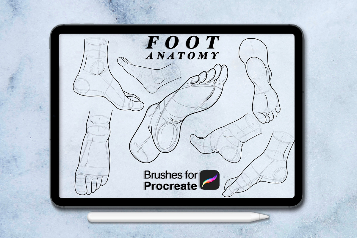 100 foots anatomy procreate brushes, a Brush Add-On by Arts For Peace (Photo 4 of 7)