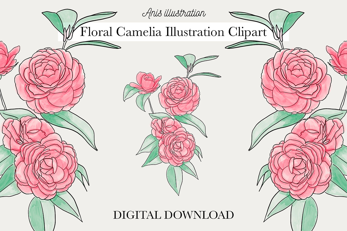 Camelia Flower Digital Illustration, an Object Illustration by Anis Illustration (Photo 1 of 2)