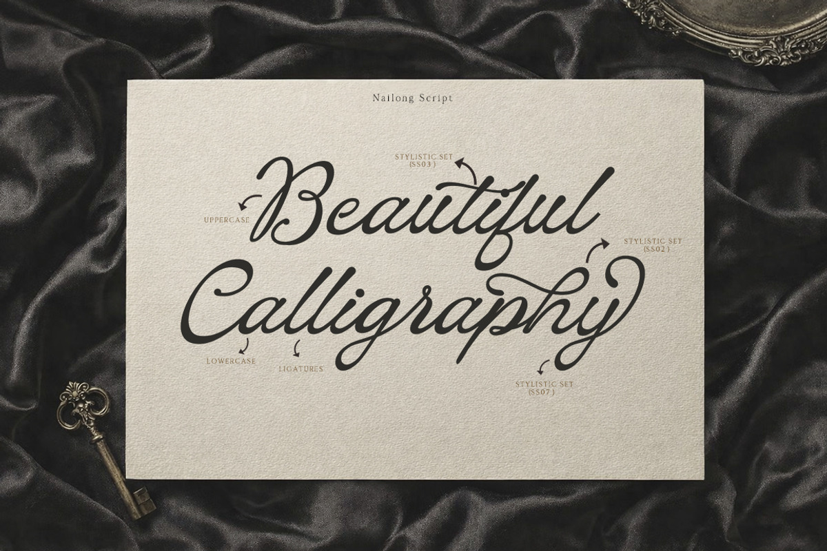 Nailong Lifemore, a Serif Font by AnayaStudio (Photo 8 of 10)