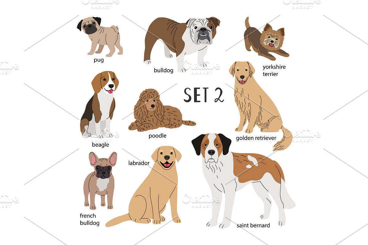 Set of different dogs of various, an Animal Illustration by Stock-Smart-Start