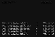 403 Obrinda - Serif Mono, a Serif Font by 403 Type Foundry (Thumbnail 2 of 15)