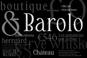 Rebus — Modern Classic Serif, a Font by vatesdesign (Thumbnail 5 of 6)