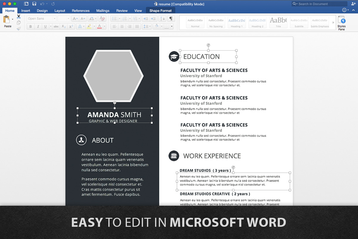 Resume template, a Resume Template by GraphicsToll (Photo 4 of 5)