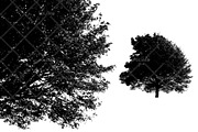 Foliage 2 Brush Set, a Brush Add-On by Zsolt Kosa Art (Thumbnail 2 of 8)