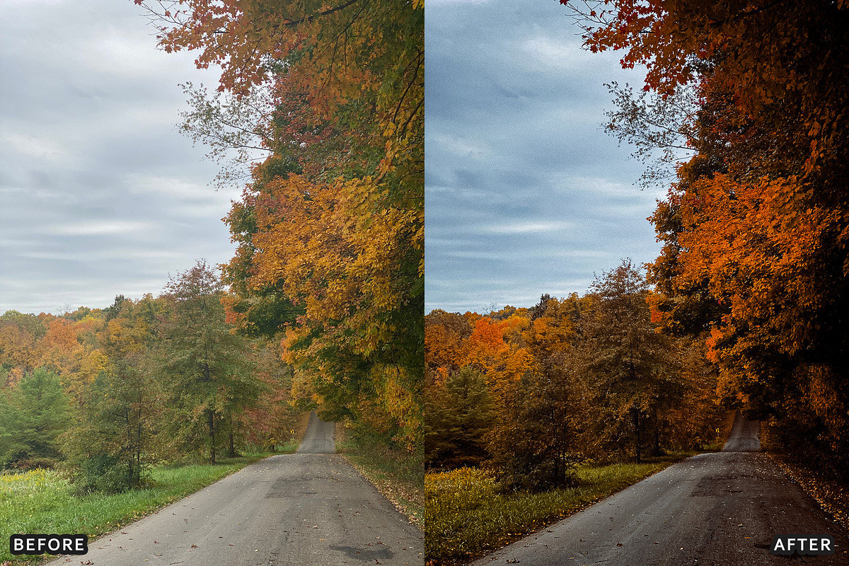 Misty Autumn Forest Presets, a Preset Add-On by AAA Presets (Photo 7 of 13)