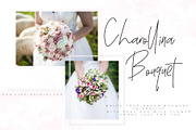 Cherry Blossom | 90% OFF, a Script Font by Chocotype Std (Thumbnail 2 of 10)