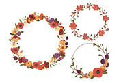 Floral Vector Wreaths in Autumn, an Illustration by Amanda Ilkov (Thumbnail 3 of 4)
