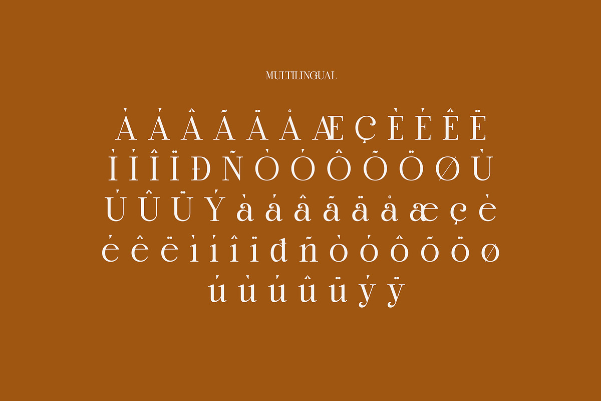Marlin Modern Elegant Serif, a Serif Font by Alfinart (Photo 11 of 11)