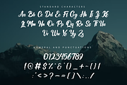 Bulgaria Dreams Apparel Font, a Script Font by Rissyletter Studio (Thumbnail 8 of 10)