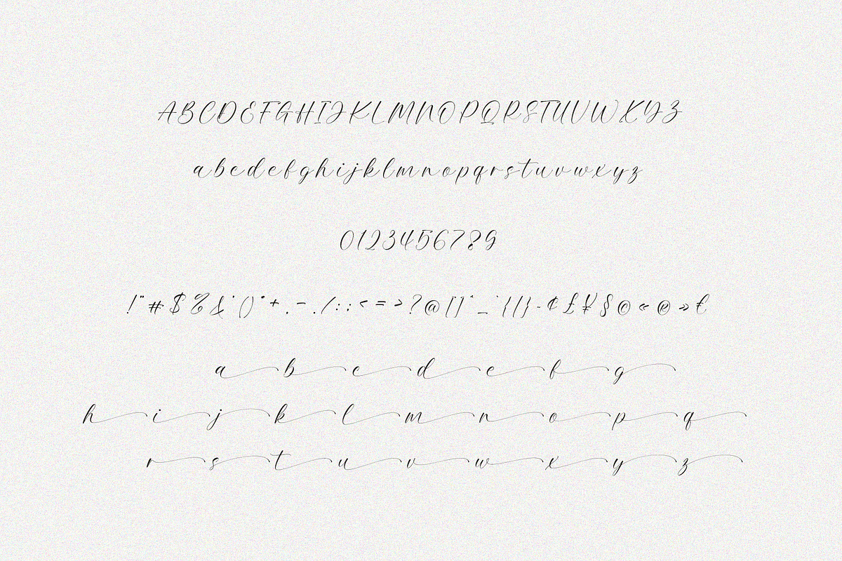 Thundra – Elegant Calligraphy Font, a Script Font by Pen Culture (Photo 8 of 9)