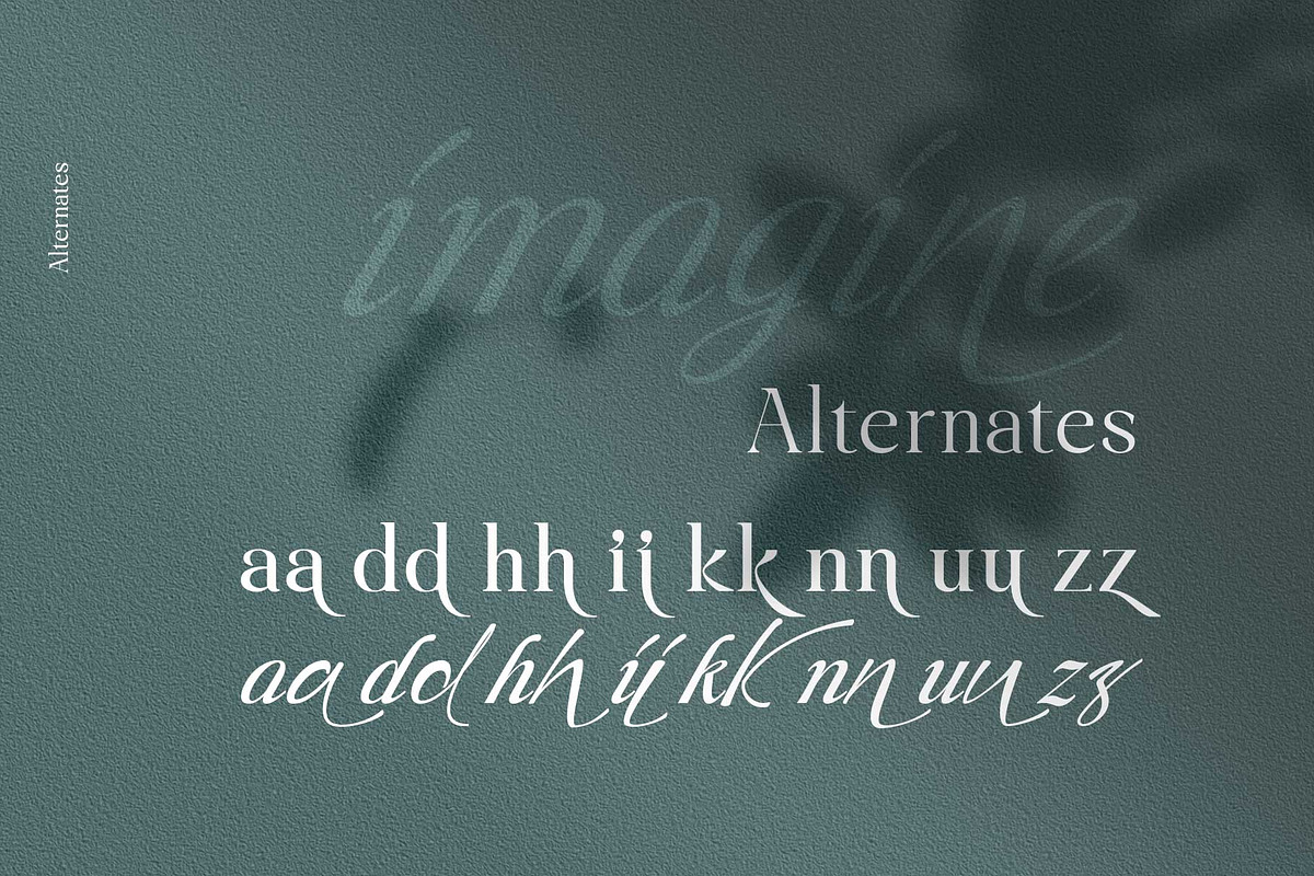 Liliane Classe Serif Font Family, a Serif Font by Ryul Davidson (Photo 13 of 21)