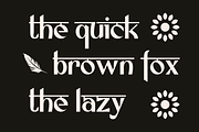 Qasira - A Modern Hindi Font, a Sans Serif Font by Marvadesign (Thumbnail 6 of 6)
