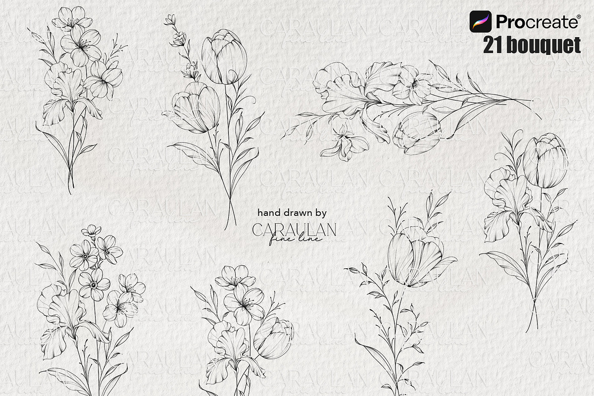 FineLine Floral Stamps for Procreate, a Brush Add-On by CaraulanStore (Photo 2 of 9)