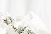 FLORAL WINTER BOX Watercolor Bundle, a Seasonal Illustration by Muse Artist (Thumbnail 86 of 95)