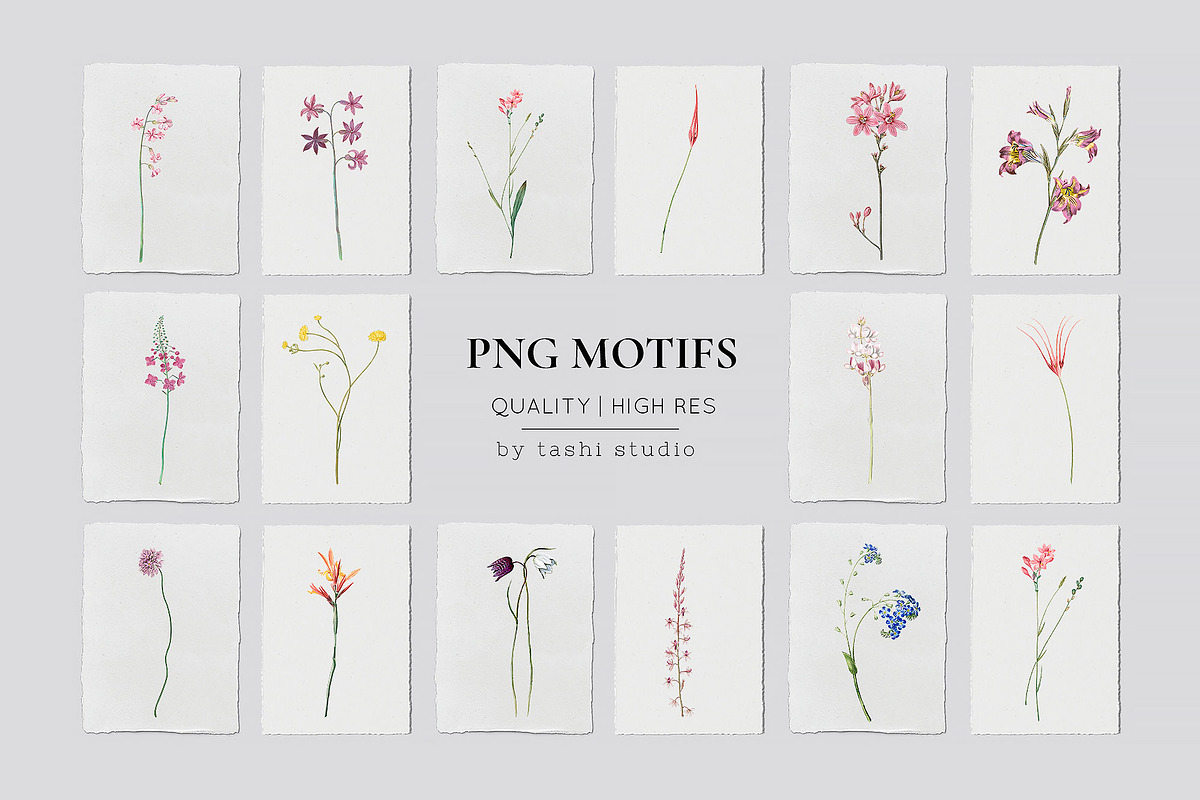 Jardin de Printemps Prints & Motifs, a Pattern Graphic by TSTUDIO (Photo 5 of 10)