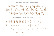 Niralise Vale - Elegant Script, a Script Font by Indotype Foundry (Thumbnail 2 of 10)