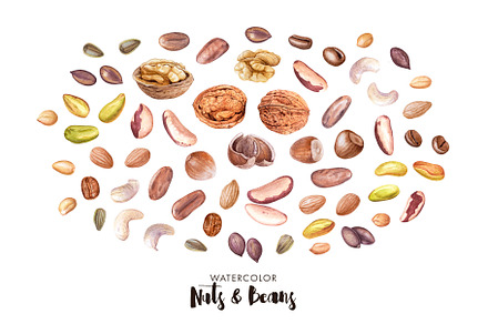 Watercolor Nuts, Beans & Seeds, a Food Illustration by Katya Zlobina