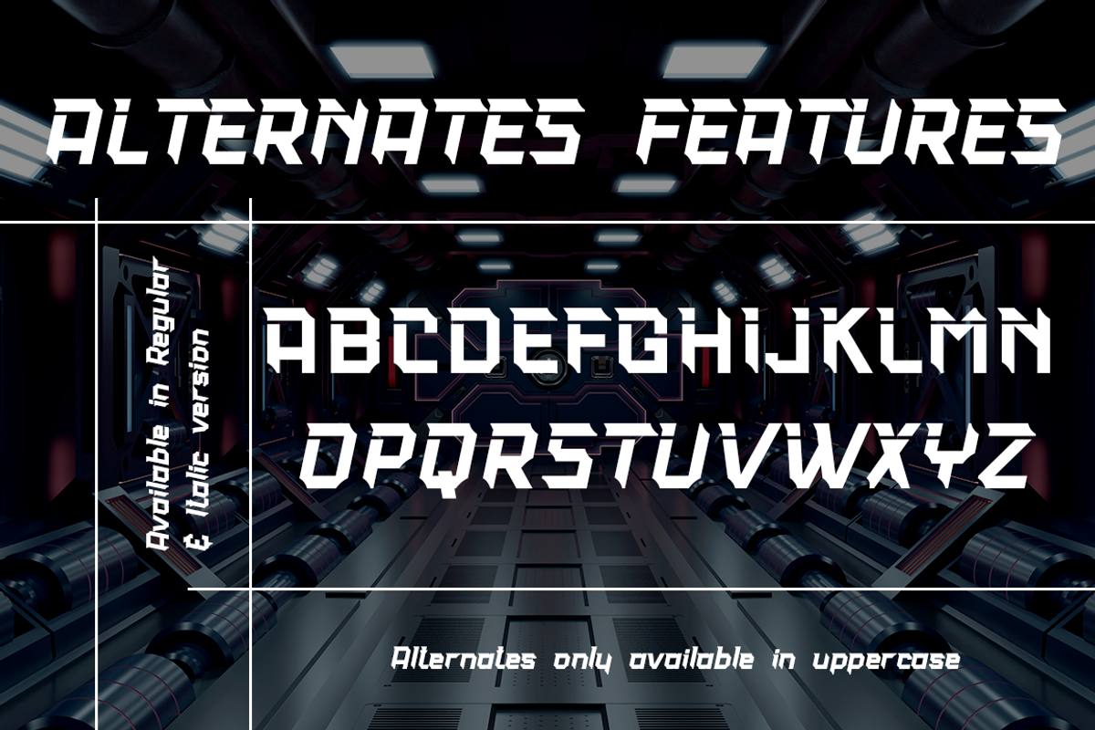Thunderboss Modern Strong Sans, a Sans Serif Font by Haksen (Photo 9 of 10)