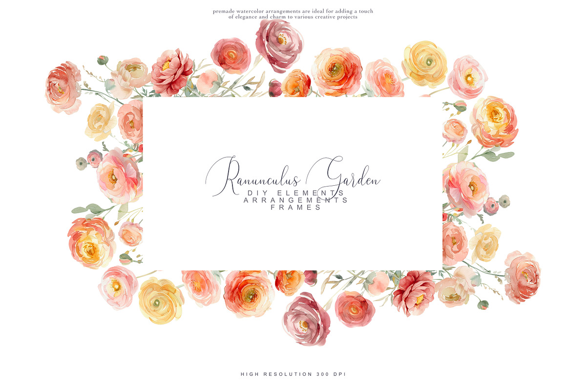 Watercolor Ranunculus Clipart Set, a Decorative Illustration by Patishop Art (Photo 6 of 10)