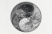 Phoenix Dragon YinYang Vector Logo, a Decorative Illustration by Suvham Roy (Thumbnail 6 of 6)