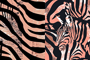 Rose Gold Zebra Stripes Patterns, a Pattern Graphic by PrintablesByFranklyn (Thumbnail 2 of 6)