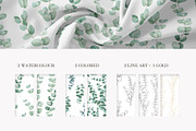 Eucalyptus branches, frames patterns, a Texture Illustration by Kotkoa (Thumbnail 4 of 5)