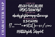 Aprilia Marelo Handwritten LS, a Script Font by GranzCreative (Thumbnail 10 of 12)