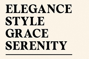 FRENCH GALLERY - Vintage Soft Serif