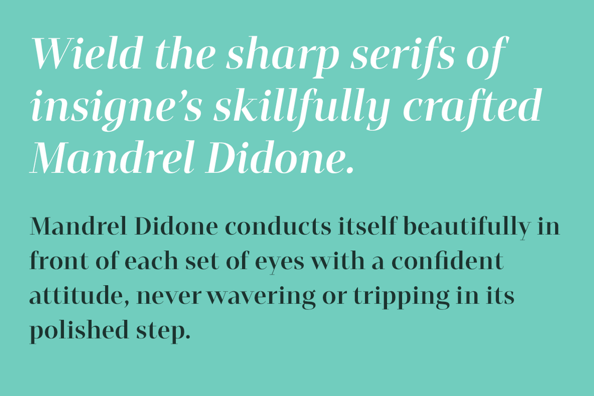 Mandrel Didone, a Font by insigne (Photo 5 of 5)