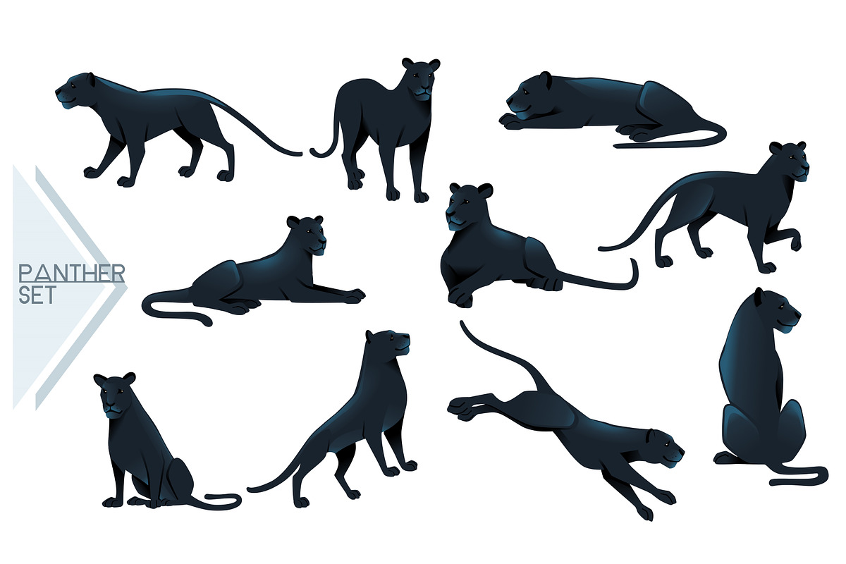 Set of Black panther wild big cat, an Animal Illustration by Alfmaler