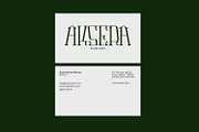 Eliveri Classic Font, a Serif Font by Khoir (Thumbnail 5 of 12)