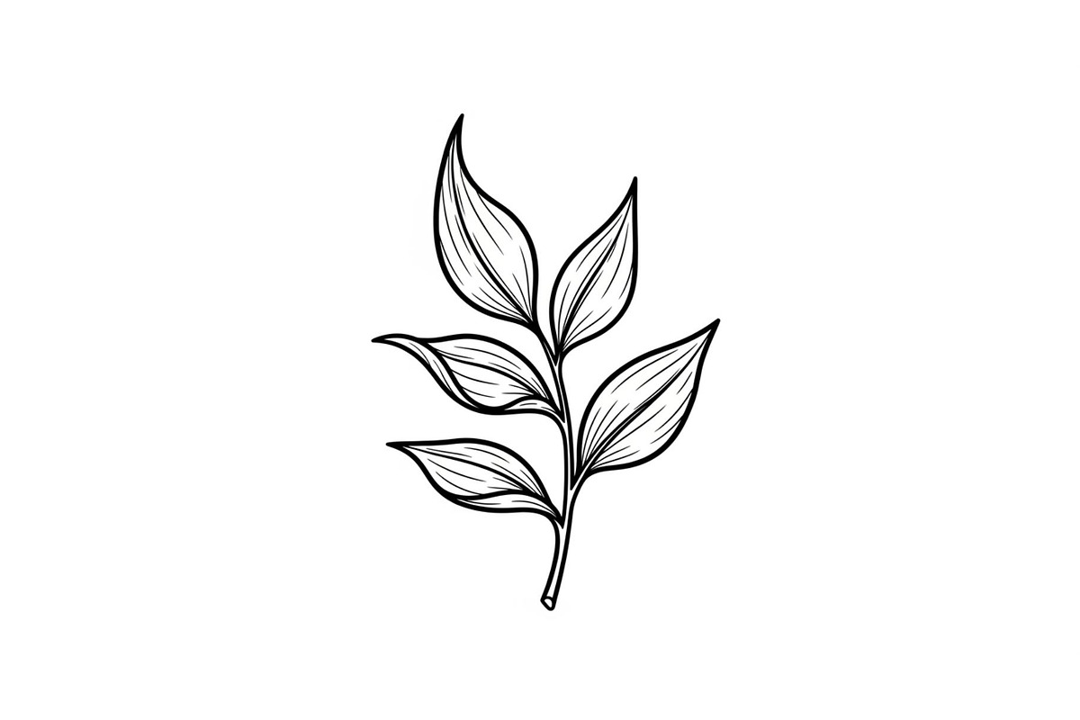 Hand Drawn Leaf Line Art Bundle, an Illustration by hafijul (Photo 45 of 51)