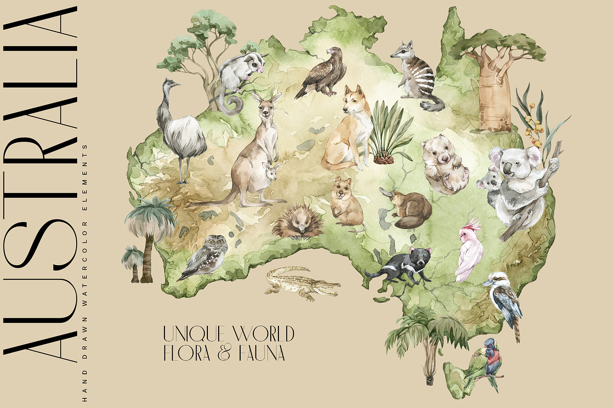 AUSTRALIA Flora & Fauna collection, an Animal Illustration by Anastezia Luneva (Photo 10 of 10)