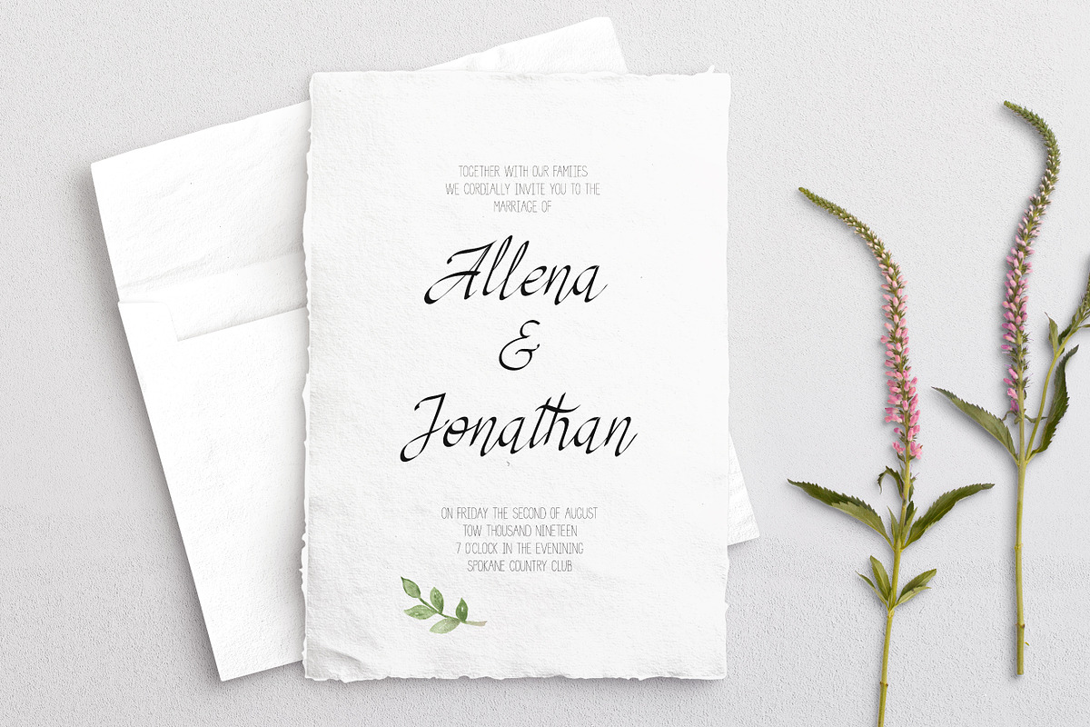RSVP Display Calligraphy Font +, a Font by DailyMiracleDigitals,LLC (Photo 4 of 12)
