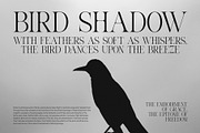 Micky Thank Minimalist Serif Font, a Serif Font by Perfectype (Thumbnail 7 of 8)
