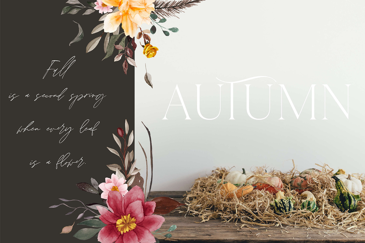 Fragrant Harvest - Fall Clipart, an Illustration by The Autumn Rabbit Ltd (Photo 9 of 11)