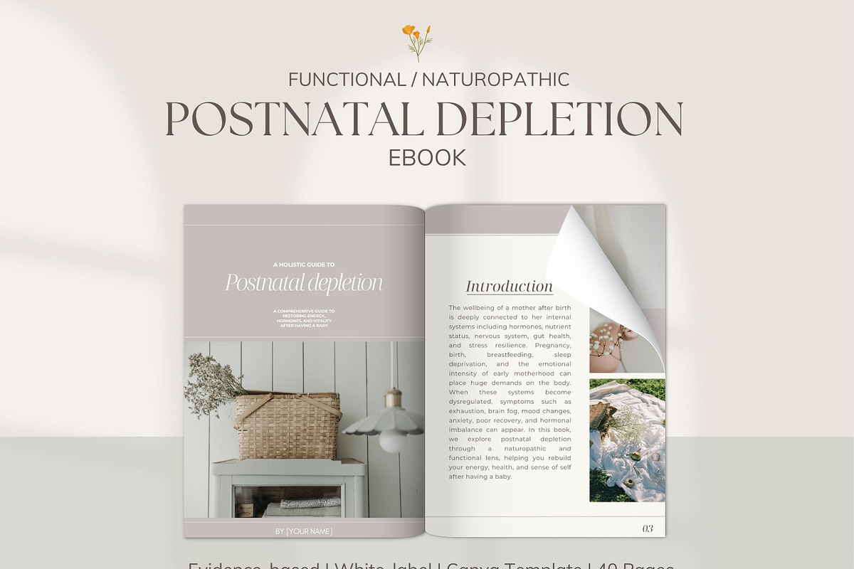 Postnatal Depletion DFY Ebook Canva, a Presentation Template by Naturopath Hub (Photo 1 of 11)