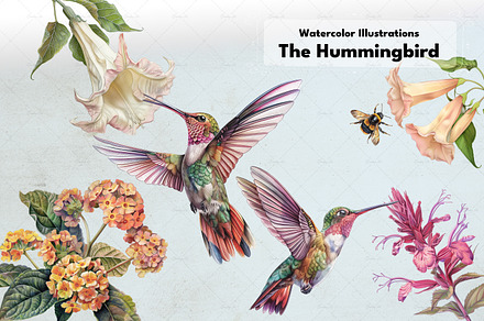 Watercolor Hummingbirds & Flowers, an Illustration by Dazzling Art Boutique