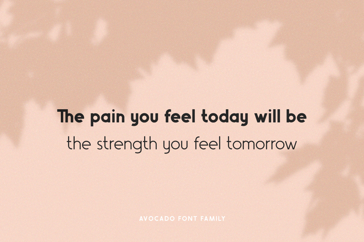 Avocado Sans Font Family preview 5